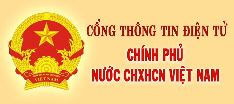 Chính phủ